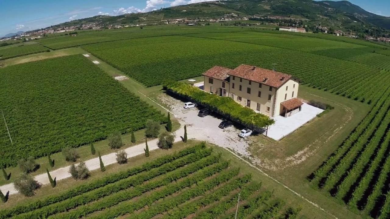 Dimora Buglioni Wine Relais Villa Сан Пиетро ин Кариано Екстериор снимка