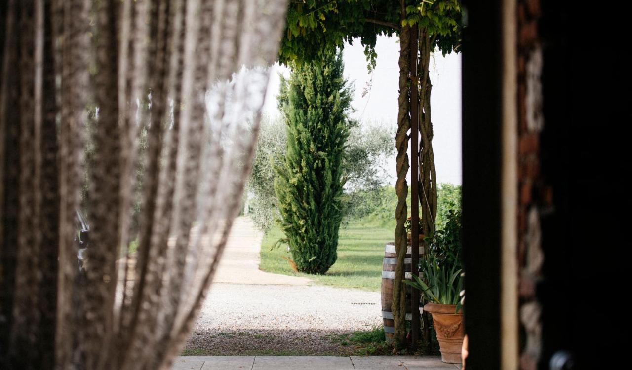 Dimora Buglioni Wine Relais Villa Сан Пиетро ин Кариано Екстериор снимка