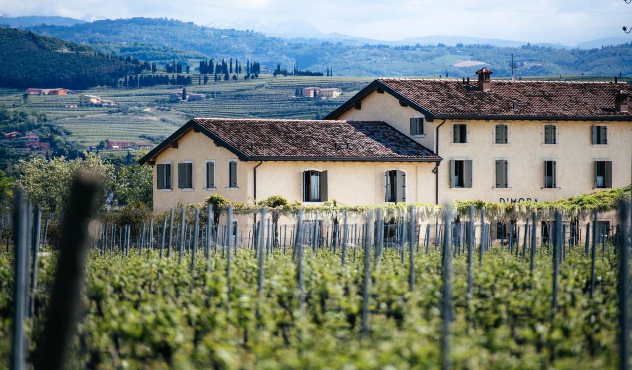 Dimora Buglioni Wine Relais Villa Сан Пиетро ин Кариано Екстериор снимка