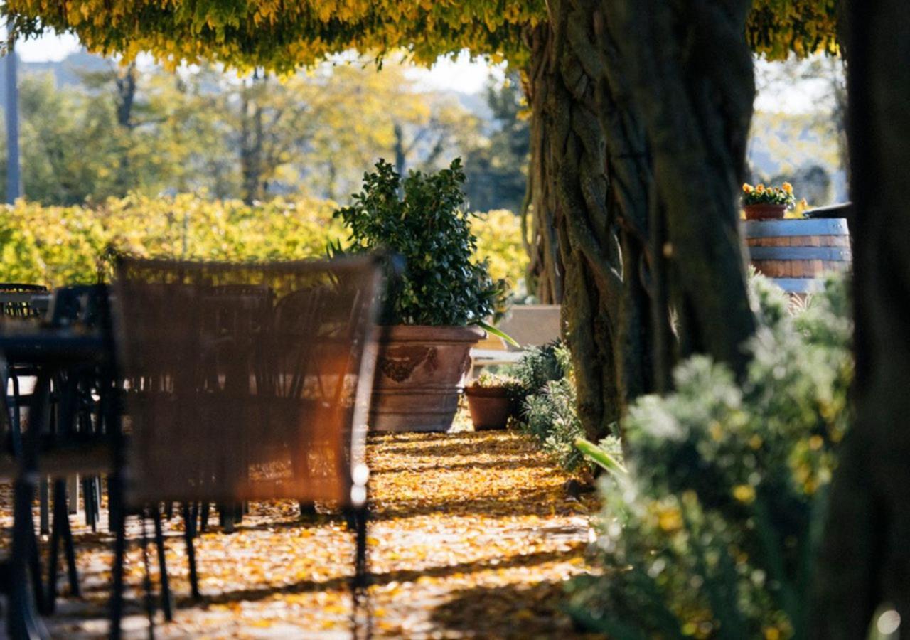 Dimora Buglioni Wine Relais Villa Сан Пиетро ин Кариано Екстериор снимка