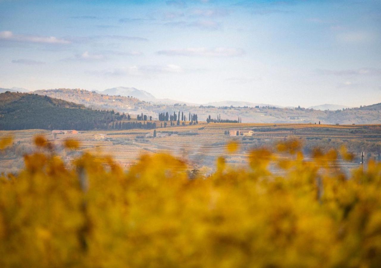 Dimora Buglioni Wine Relais Villa Сан Пиетро ин Кариано Екстериор снимка